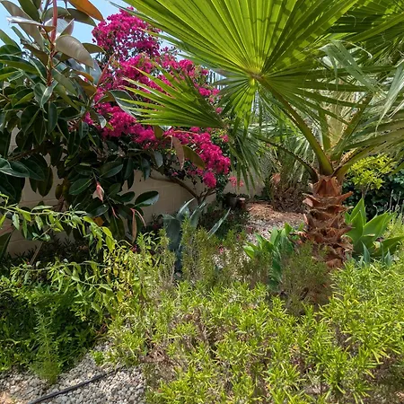 Green Villa Gran Alacant